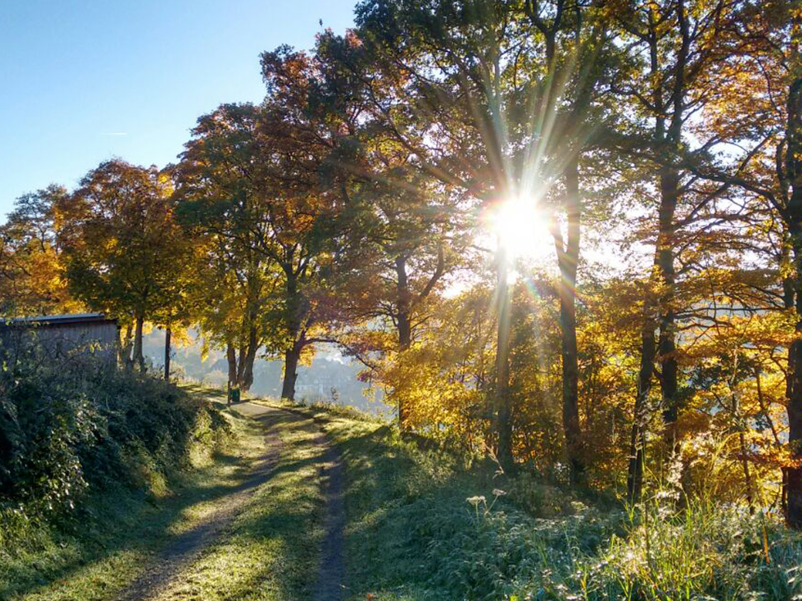 Nordenau im Herbst Sonnige Herbstzeiten in den Wäldern um Nordenau im Hochsauerland