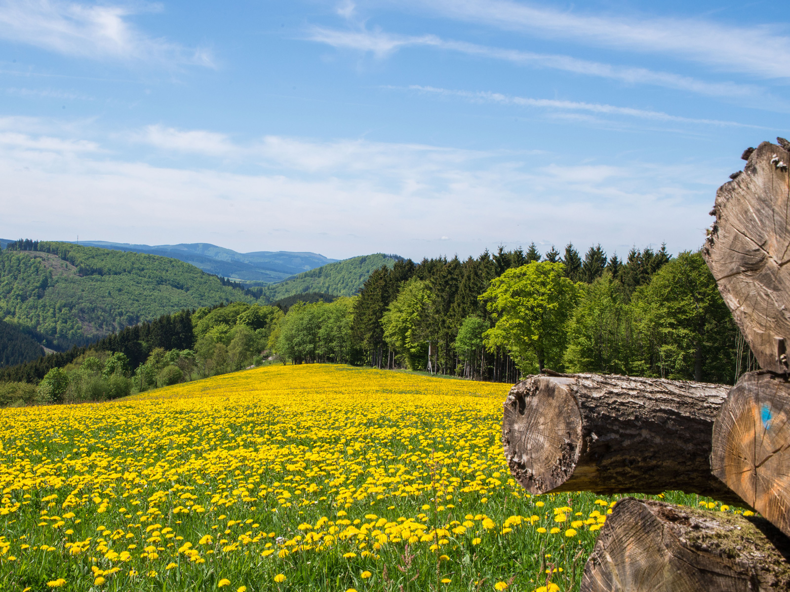 Sommer in Nordenau Sommer in Nordenau im Sauerland | Copyright: Heinz Josef Henneke